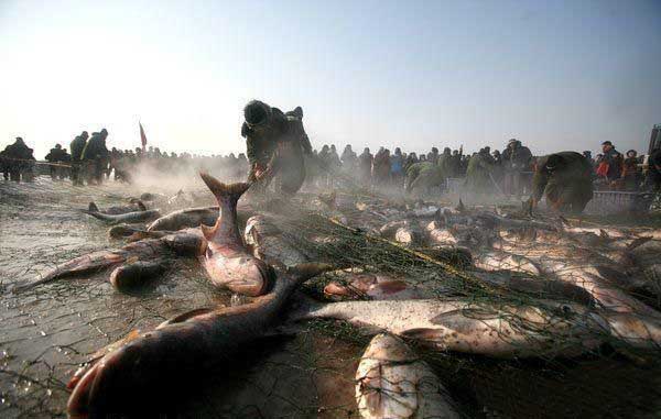 Big Fish Harbin 